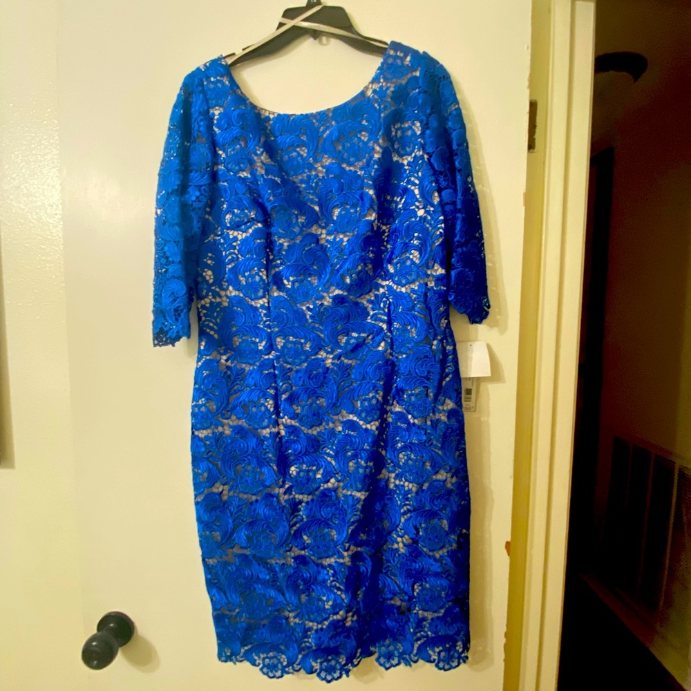 NWT Eliza J dress